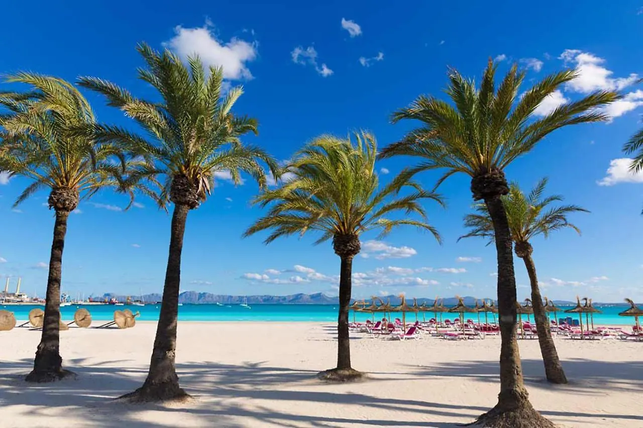 Apartment Paradise Bay 4 At Alcudia Beach, Salzes 4