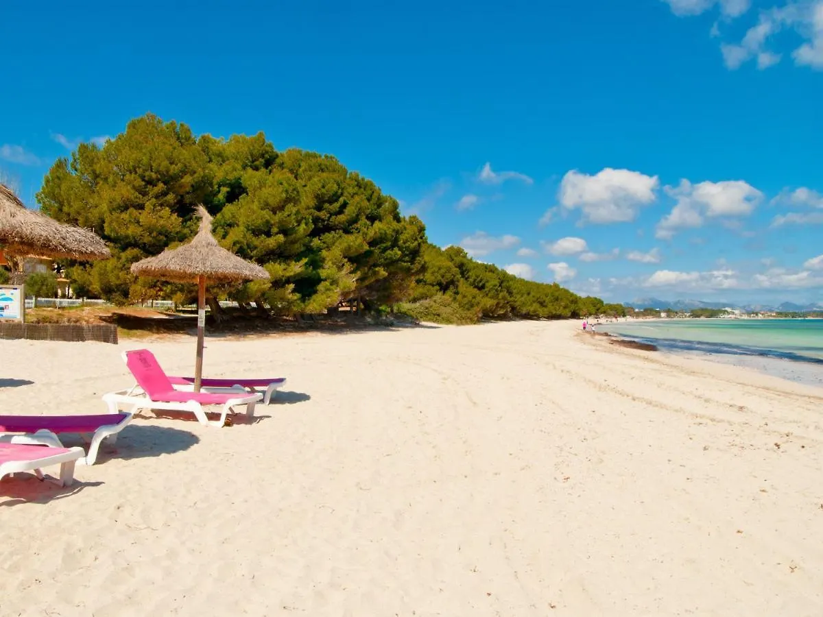 Apartment Paradise Bay 4 At Alcudia Beach, Salzes 4 Spain